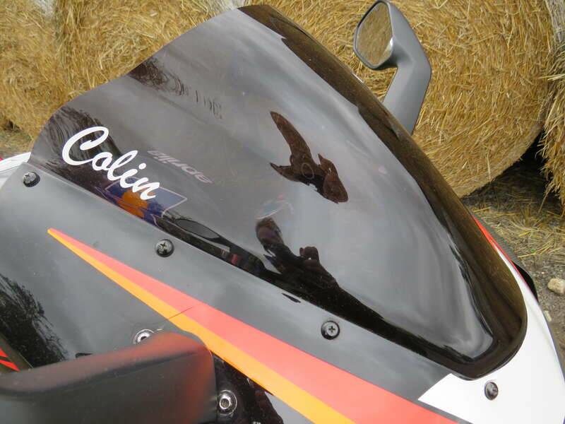 Image 7/41 of Aprilia DUMMY (2003)