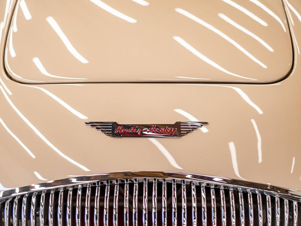 Immagine 24/50 di Austin-Healey 100/4 (BN1) (1954)