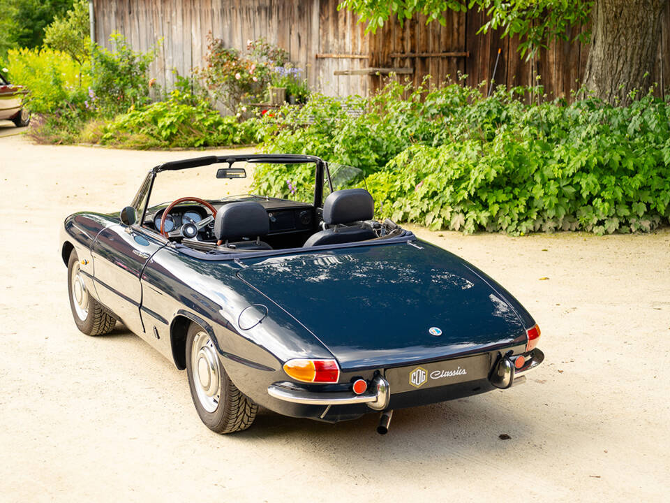 Image 12/83 de Alfa Romeo 1750 Spider Veloce (1969)