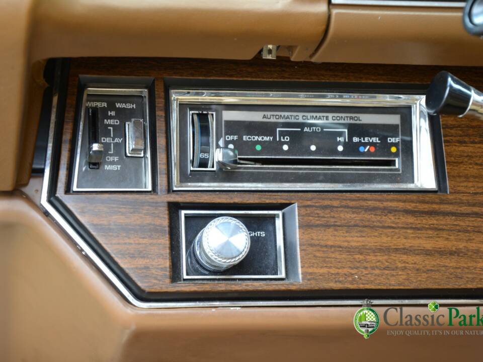 Immagine 38/50 di Buick Electra 225 Hardtop (1976)