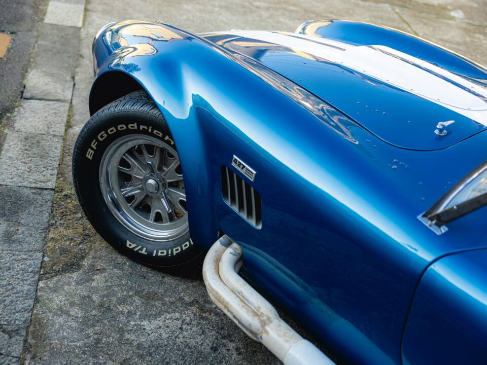 Image 25/68 of Shelby Cobra 289 (1966)