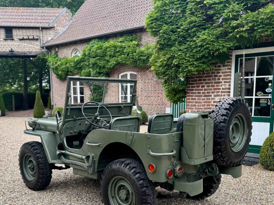 Immagine 19/20 di Jeep Willys-Overland CJ-3A (1950)