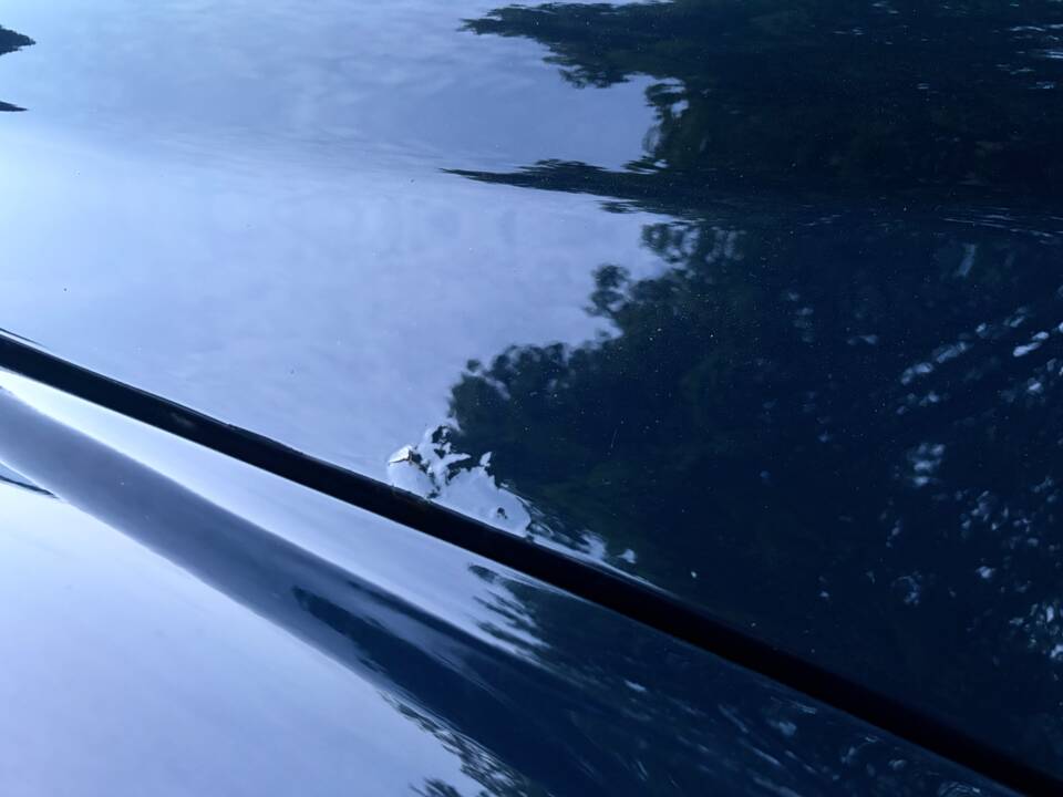 Immagine 92/96 di Volvo P 123 GT (1966)