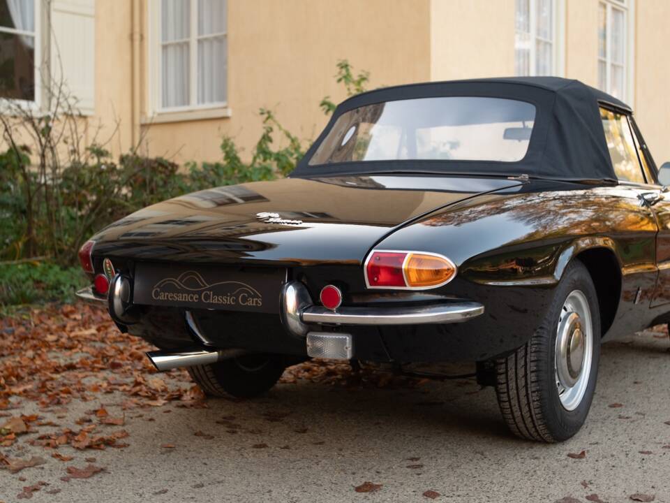 Image 8/51 of Alfa Romeo 1600 Spider Duetto (1966)