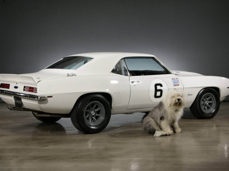 Immagine 14/36 di Chevrolet Camaro SS Sport (1969)