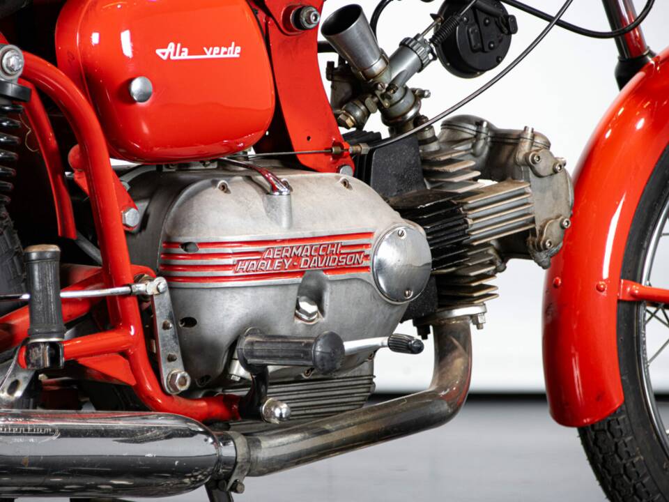 Immagine 23/50 di Aermacchi Ala Verde (1964)