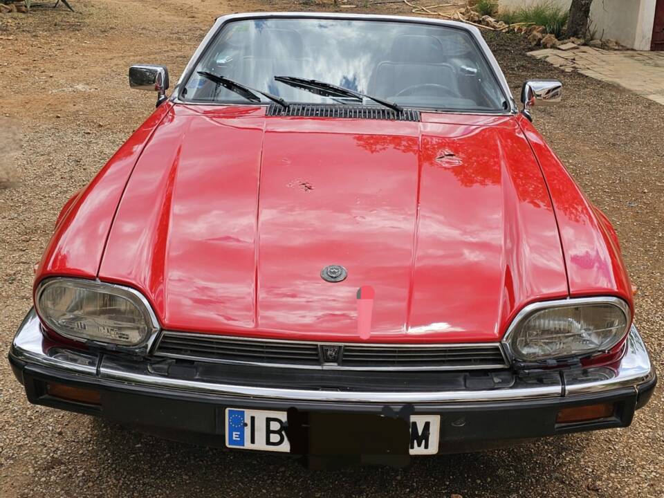 Bild 2/8 von Jaguar XJ-S Convertible (1989)