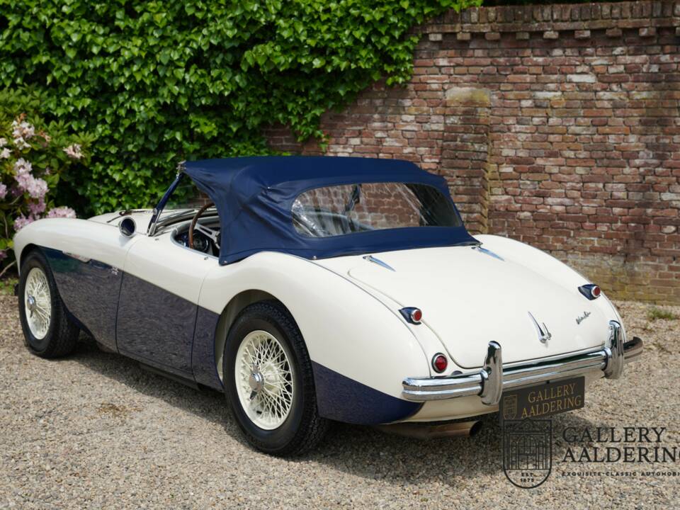 Image 11/50 of Austin-Healey 100/4 (BN1) (1954)