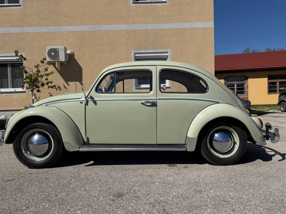 Image 2/25 de Volkswagen Coccinelle 1200 Export "Dickholmer" (1960)