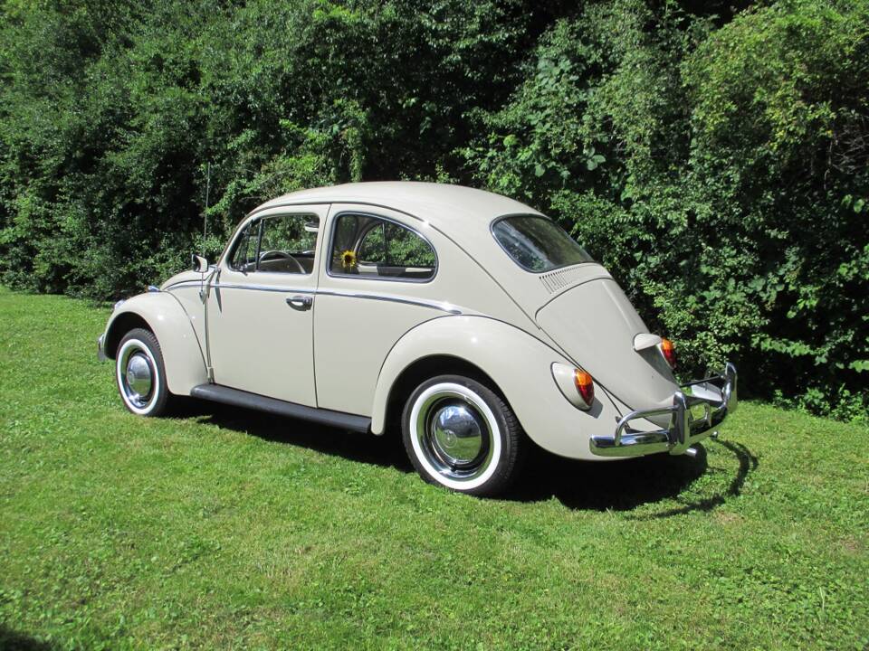 Image 3/39 of Volkswagen Maggiolino 1200 Export "Dickholmer" (1964)