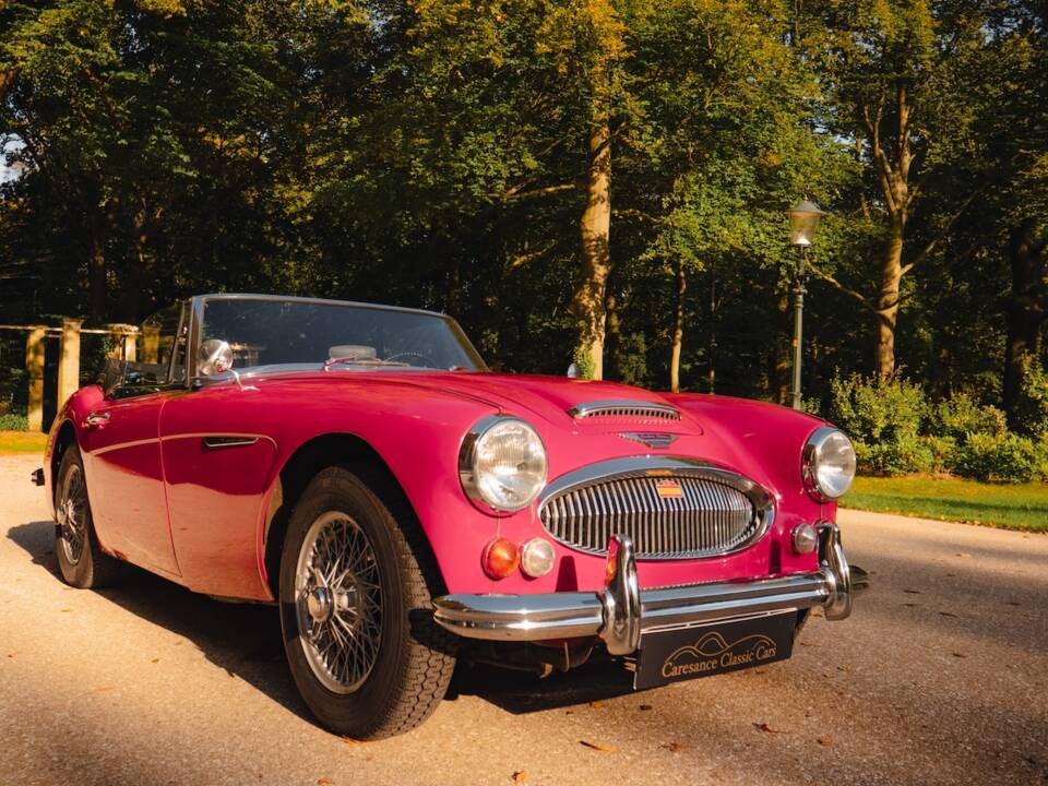 Immagine 13/21 di Austin-Healey 3000 Mk III (BJ8) (1966)