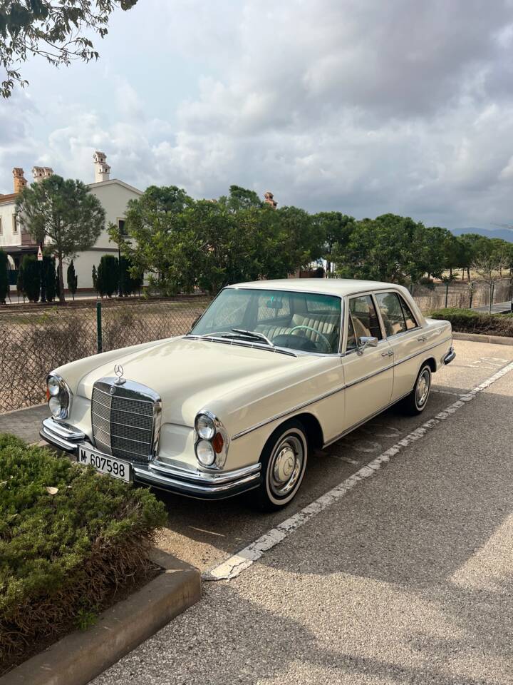 Afbeelding 12/50 van Mercedes-Benz 250 SE (1967)