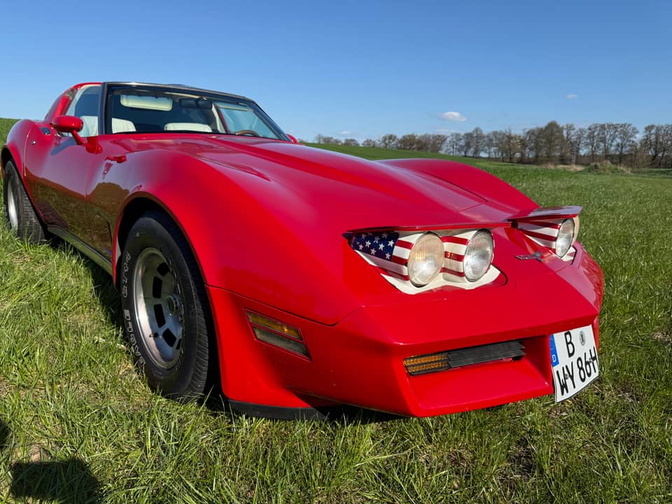 Image 6/20 of Chevrolet Corvette Sting Ray (1980)