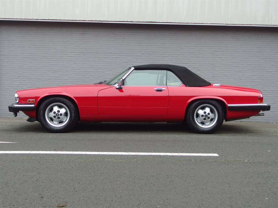 Image 6/99 de Jaguar XJS 5.3 V12 (1990)