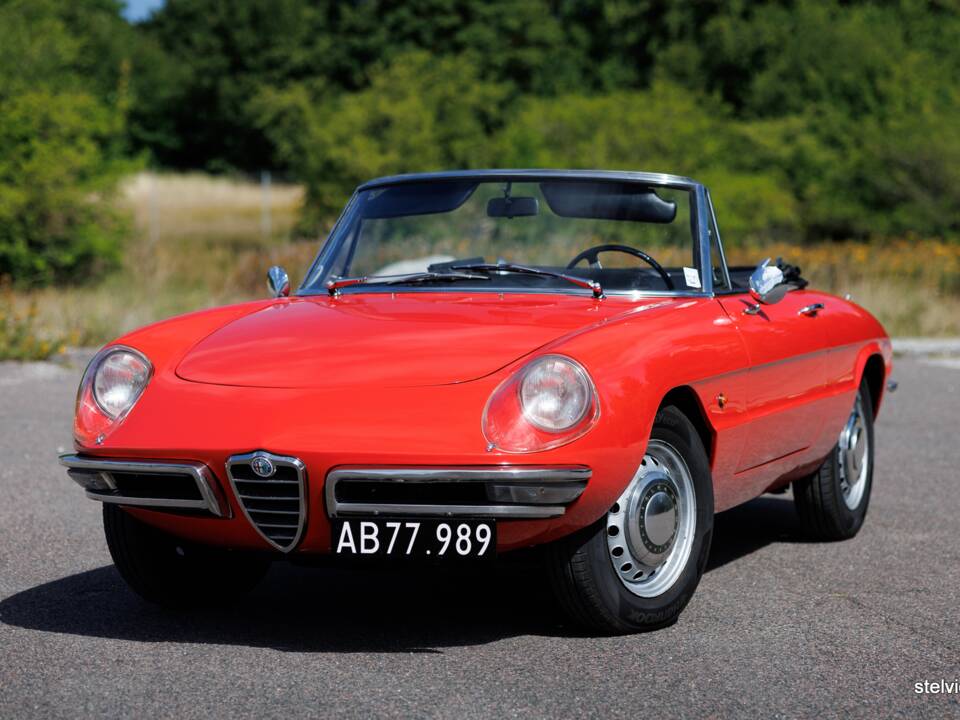 Afbeelding 1/37 van Alfa Romeo 1600 Spider Duetto (1966)