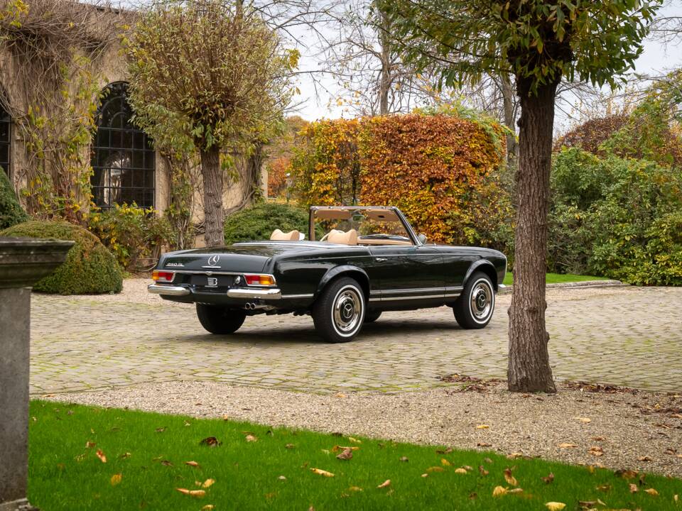 Imagen 7/30 de Mercedes-Benz 250 SL (1967)