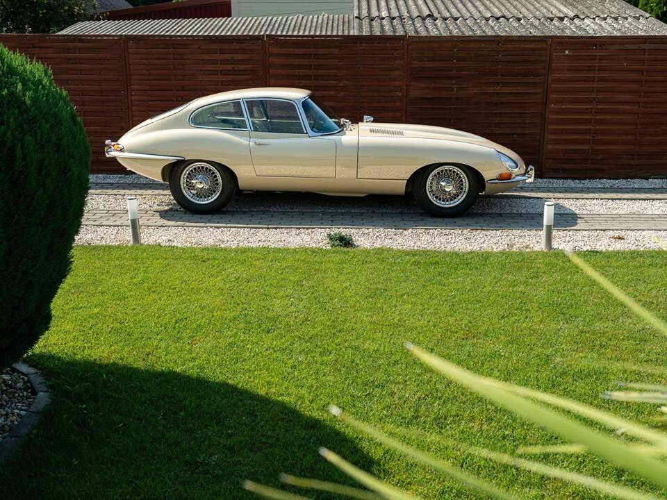 Bild 4/8 von Jaguar Type E 4.2 (1966)