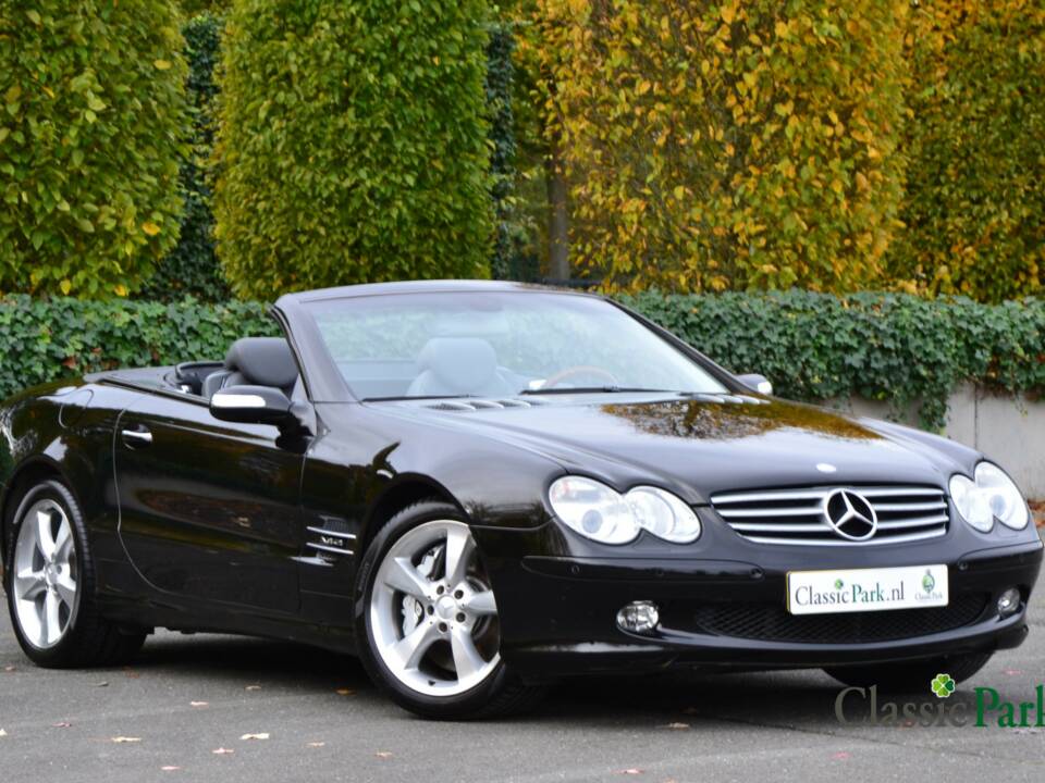 Immagine 19/50 di Mercedes-Benz SL 600 (2004)
