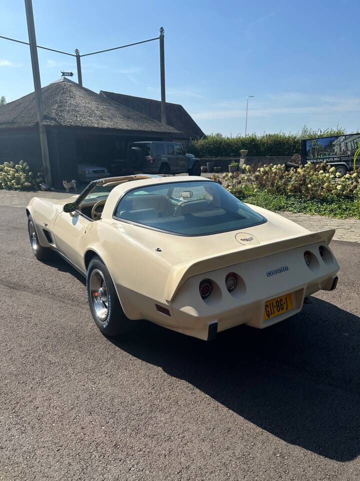 Image 6/21 de Chevrolet Corvette Stingray (1977)