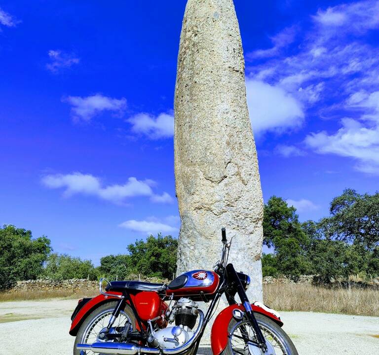 Image 6/51 of BSA B 44 (1966)