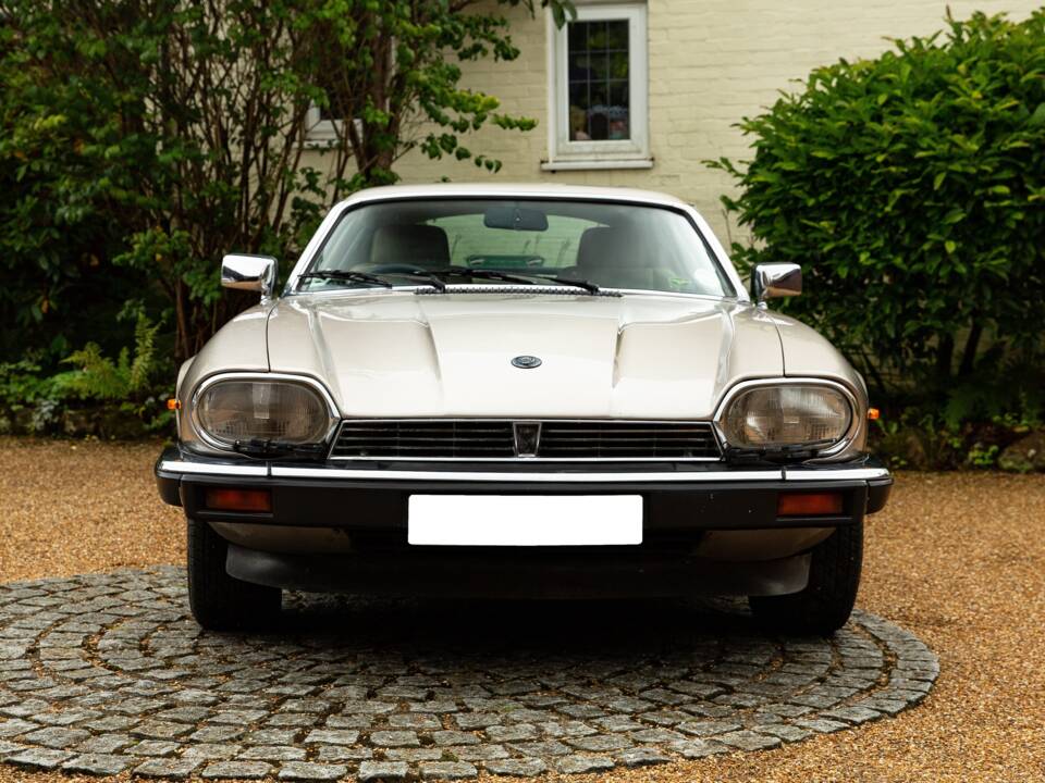 Immagine 6/40 di Jaguar XJ-S 3.6 (1988)