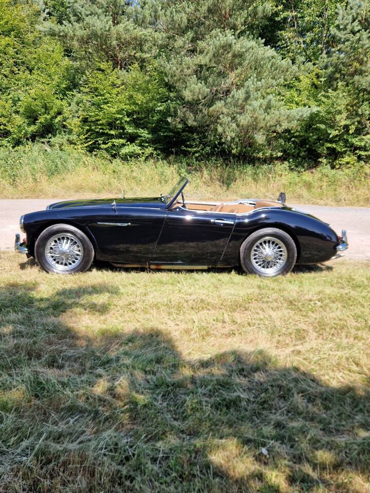 Bild 4/14 von Austin-Healey 3000 Mk I (BT7) (1961)