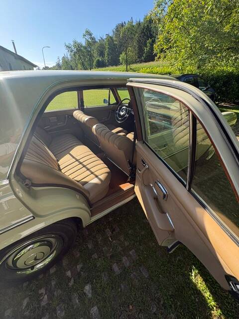 Image 11/52 of Mercedes-Benz 250 SE (1966)