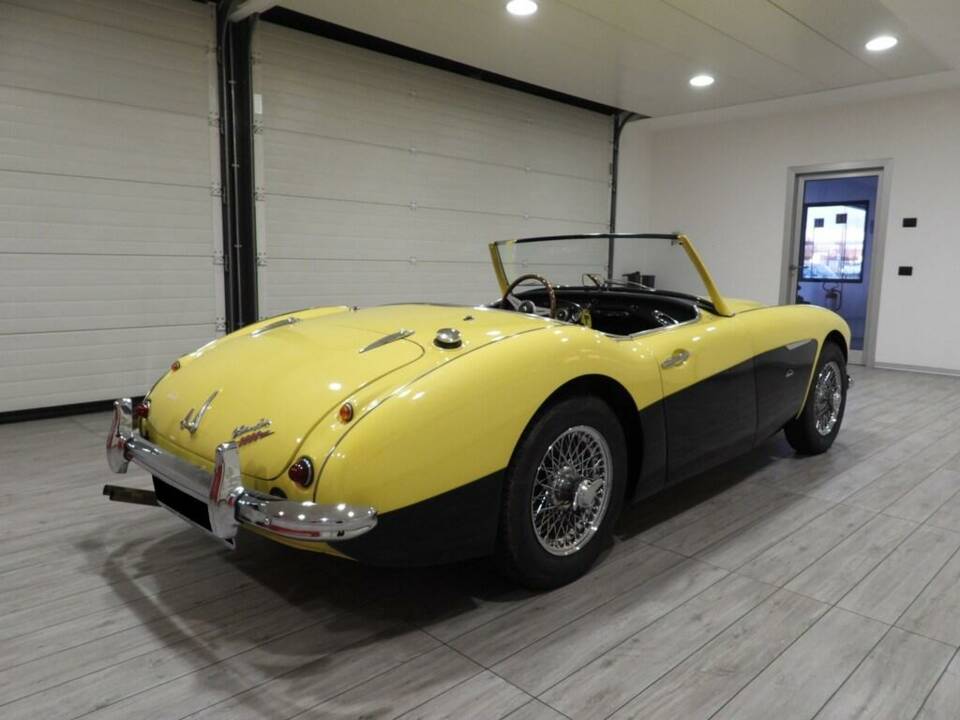Bild 4/15 von Austin-Healey 3000 Mk I (BN7) (1960)