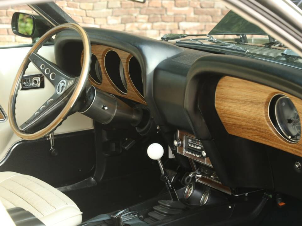 Image 42/50 of Ford Shelby GT 500 (1969)