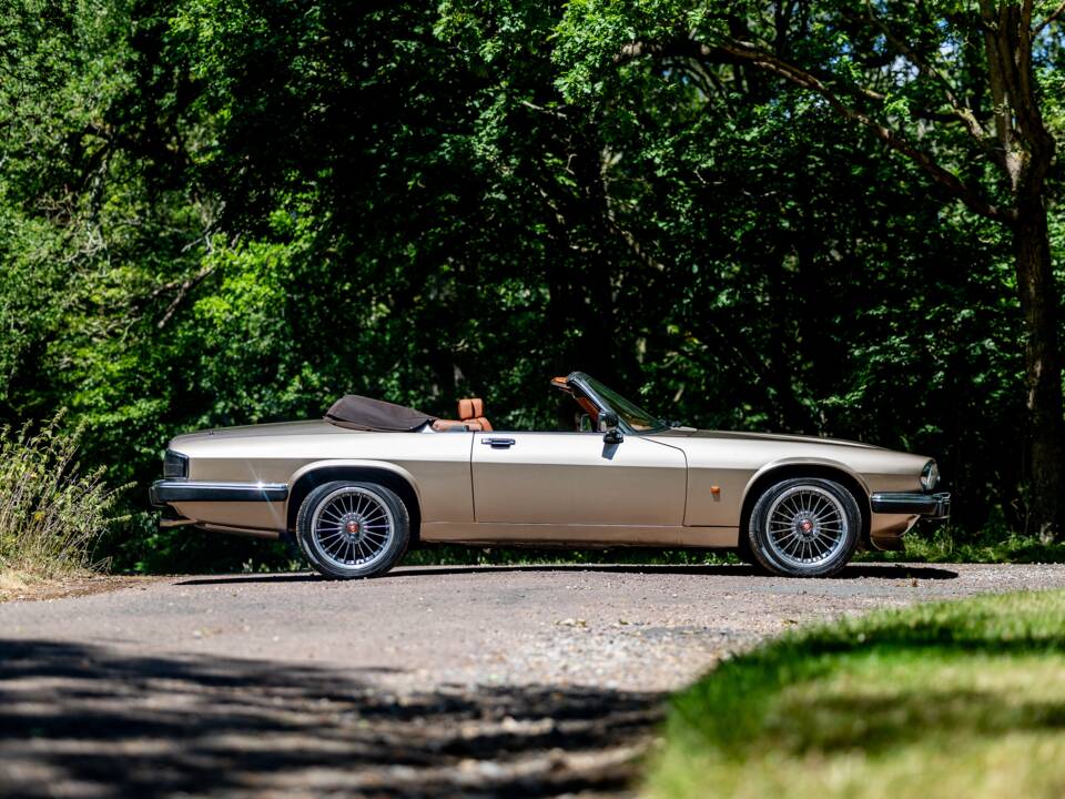Afbeelding 23/50 van Jaguar XJS 6.0 V12 (1992)