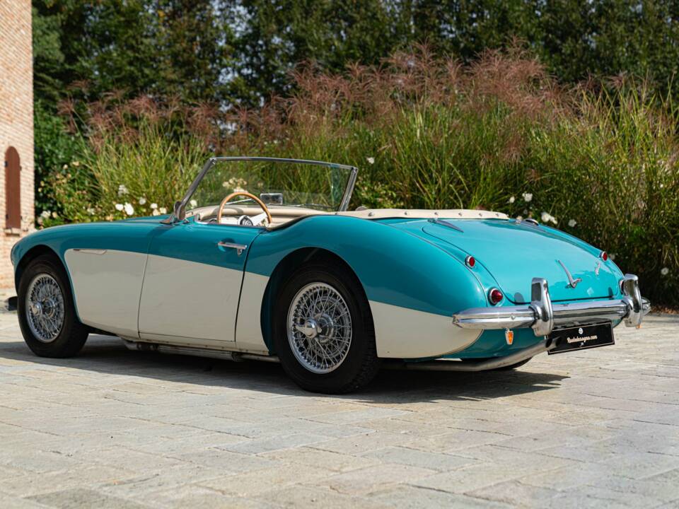 Immagine 6/50 di Austin-Healey 100/6 (BN4) (1957)