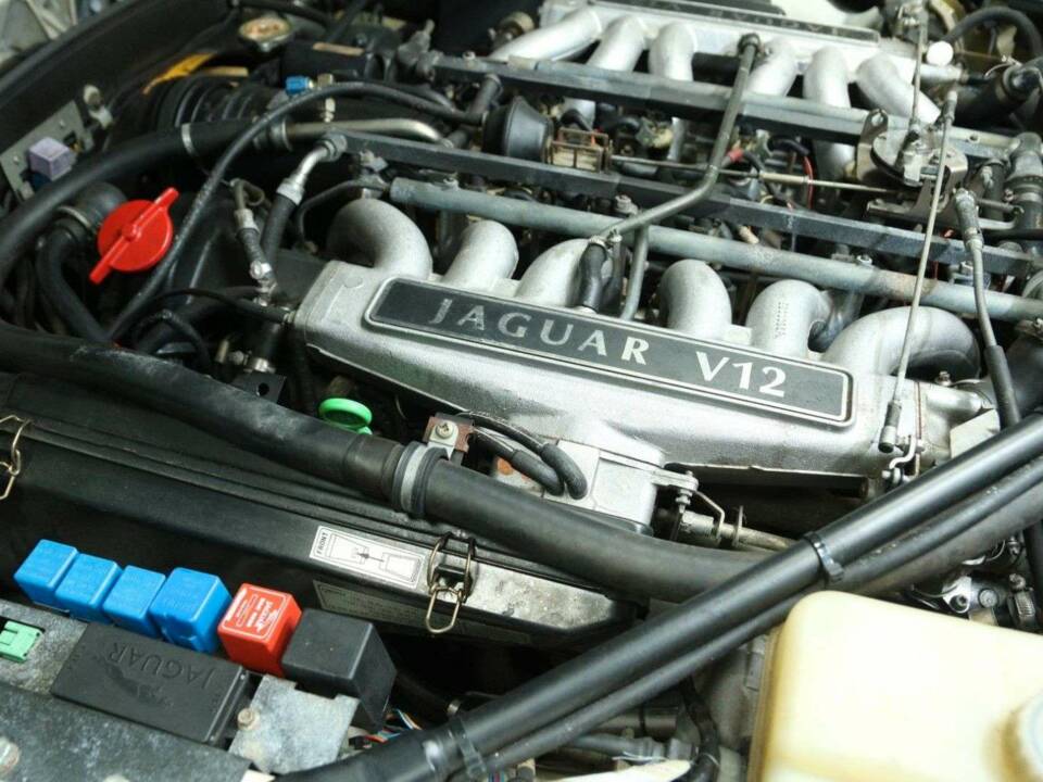 Image 48/50 de Jaguar XJS 5.3 V12 (1992)