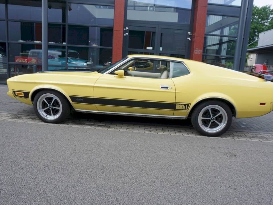 Imagen 3/21 de Ford Mustang 351 (1973)