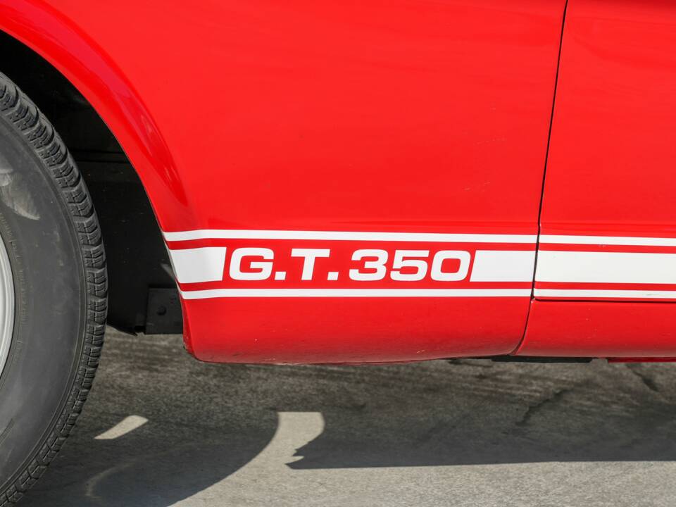 Image 15/50 of Ford Shelby GT 350 (1965)