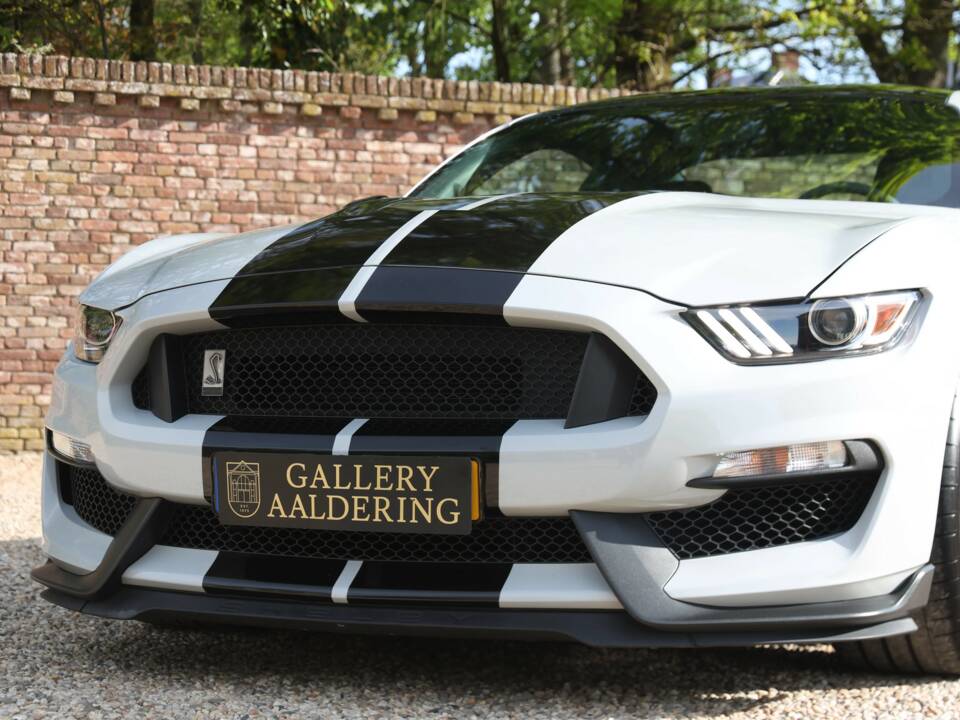 Image 17/50 of Ford Mustang Shelby GT 350 (2017)