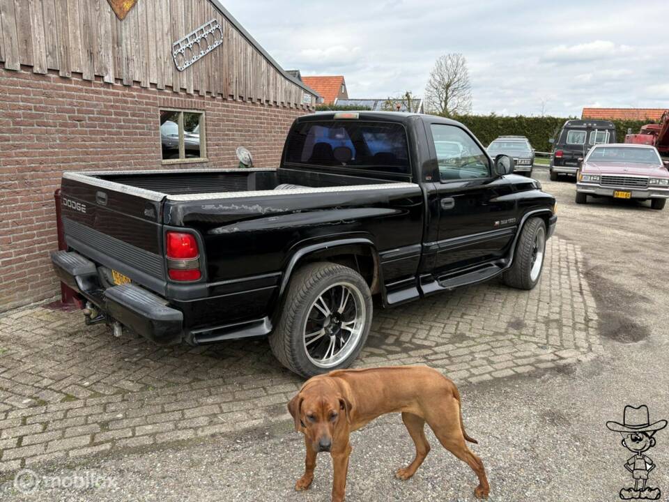 Bild 4/36 von Dodge Ram 1500 (1998)