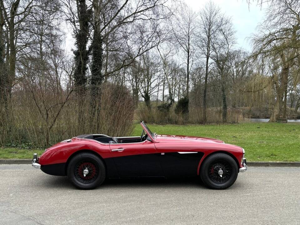 Image 6/26 de Austin-Healey 100&#x2F;6 (BN4) (1959)