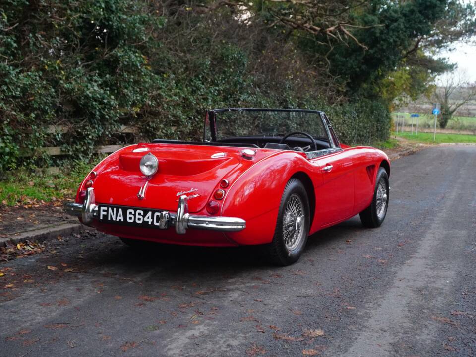 Immagine 6/18 di Austin-Healey 3000 Mk III (BJ8) (1964)