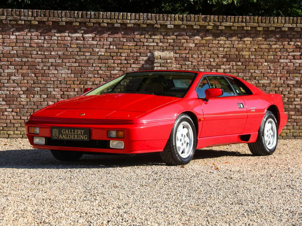 Image 14/50 of Lotus Esprit SE (1992)