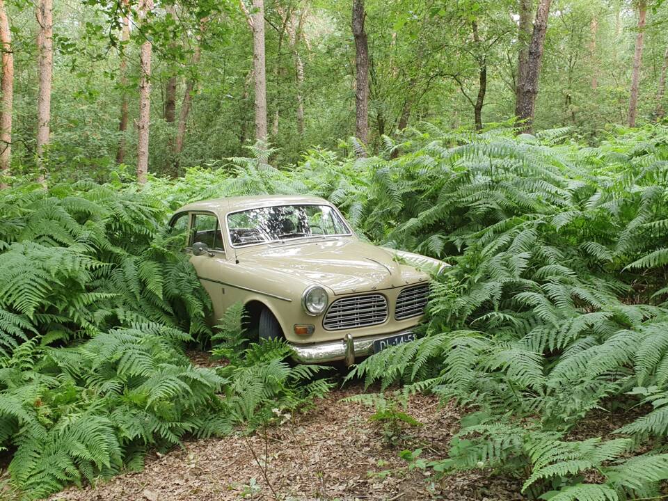 Bild 15/19 von Volvo Amazon P121 (1967)