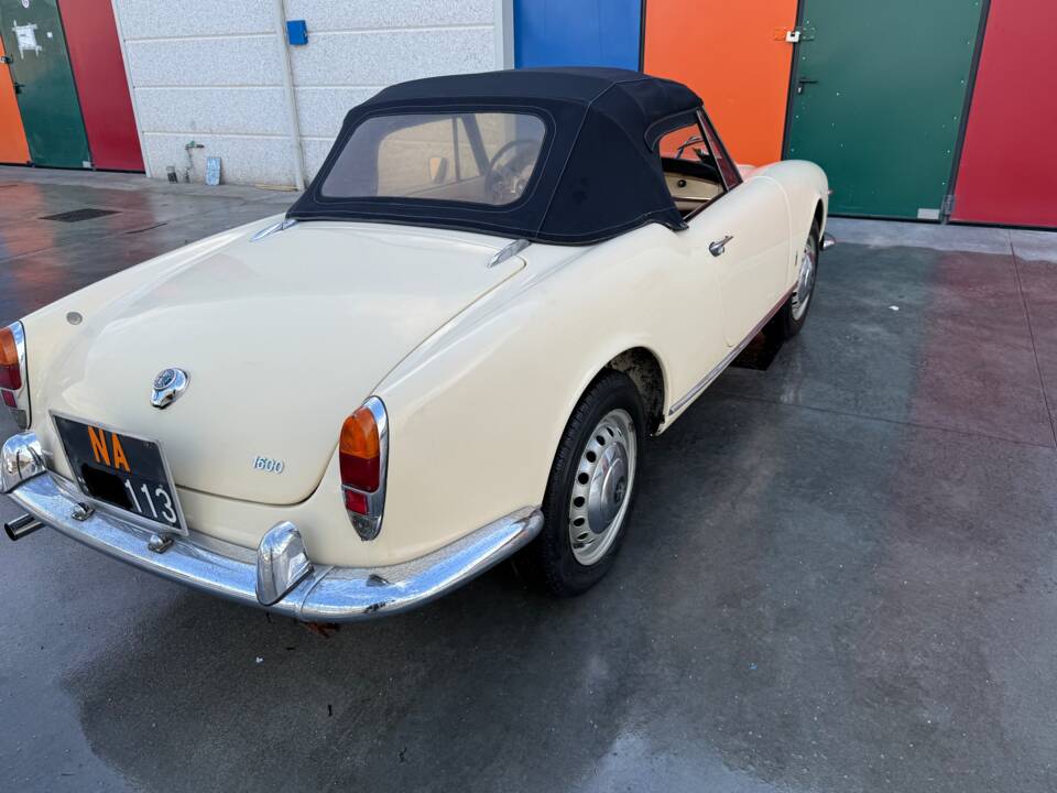 Bild 16/100 von Alfa Romeo Giulia 1600 Spider (1962)