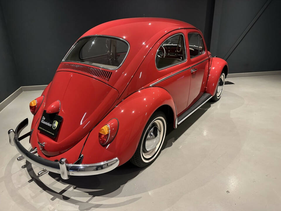 Bild 7/20 von Volkswagen Beetle 1200 Standard &quot;Dickholmer&quot; (1963)