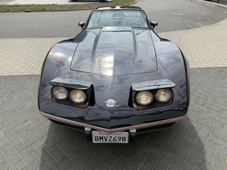 Bild 11/50 von Chevrolet Corvette 25th Anniversary (1978)