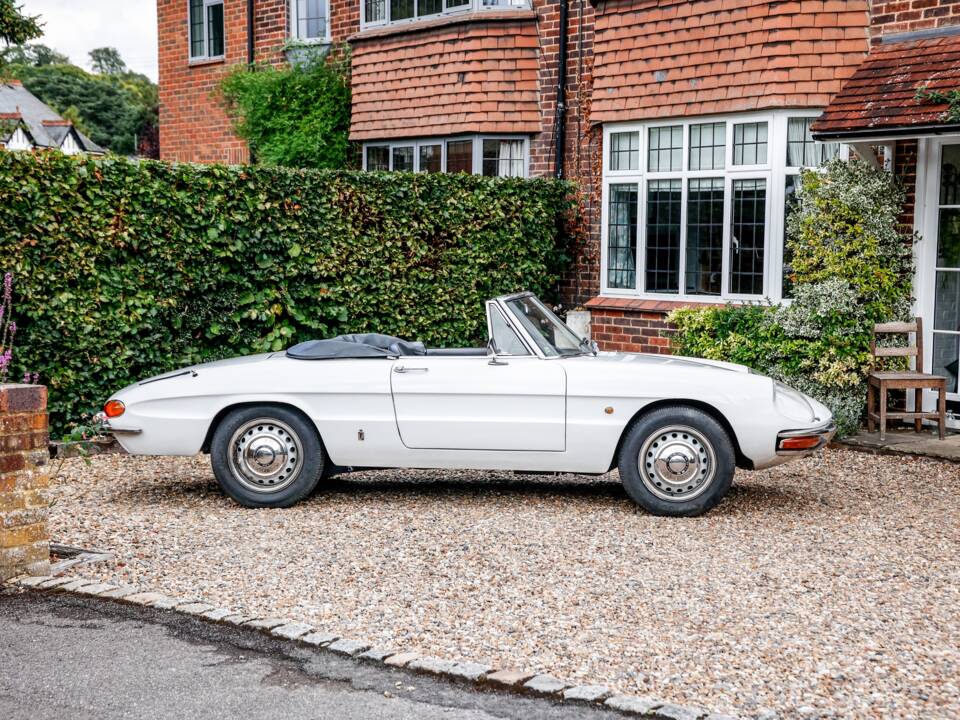 Immagine 17/35 di Alfa Romeo 1600 Spider Duetto (1967)