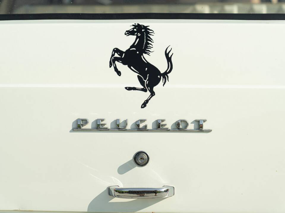 Immagine 23/50 di Peugeot 404 Familiale (1965)