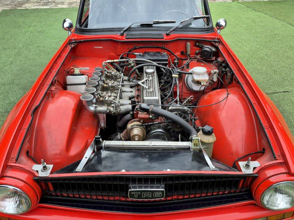 Immagine 43/81 di Triumph TR 6 (1973)