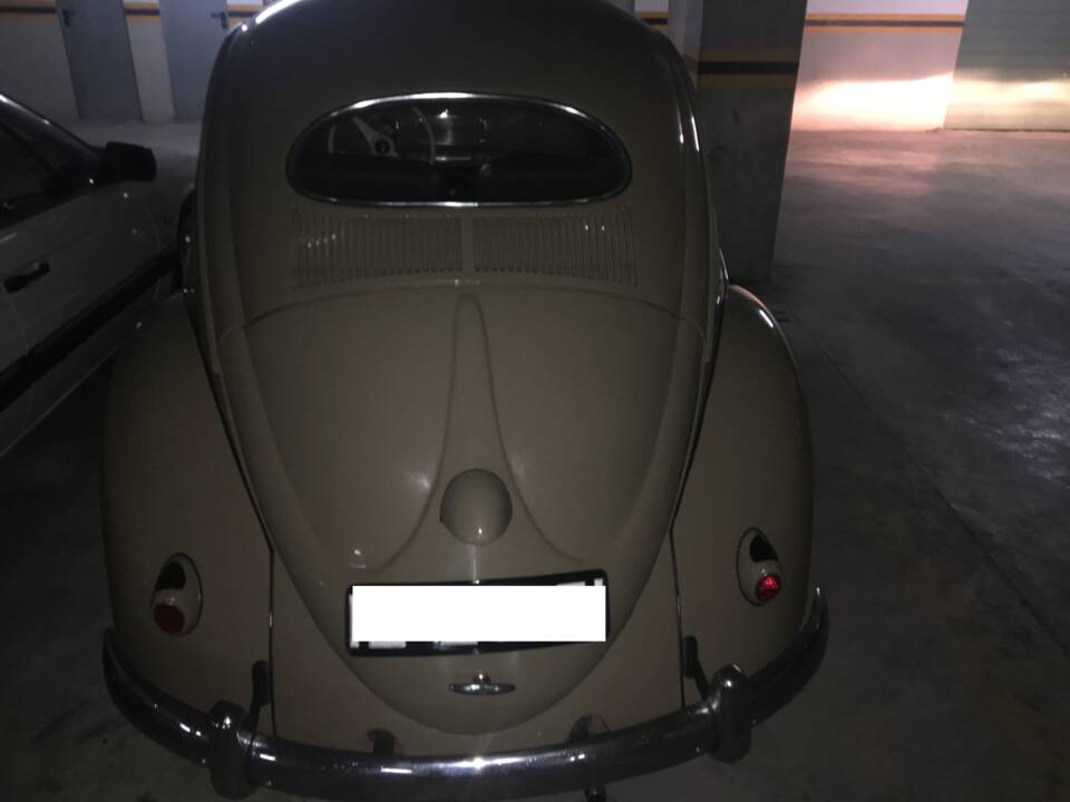 Immagine 45/56 di Volkswagen Maggiolino 1100 Standard "Ovali" (1954)