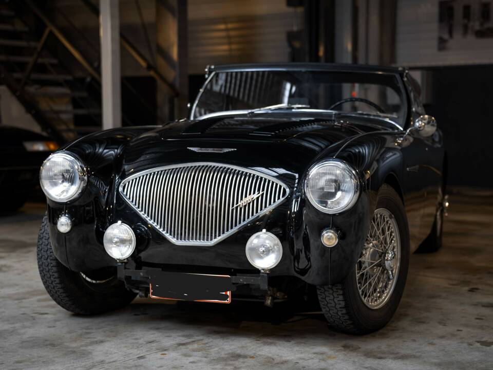 Immagine 1/28 di Austin-Healey 100/4 (BN1) (1955)