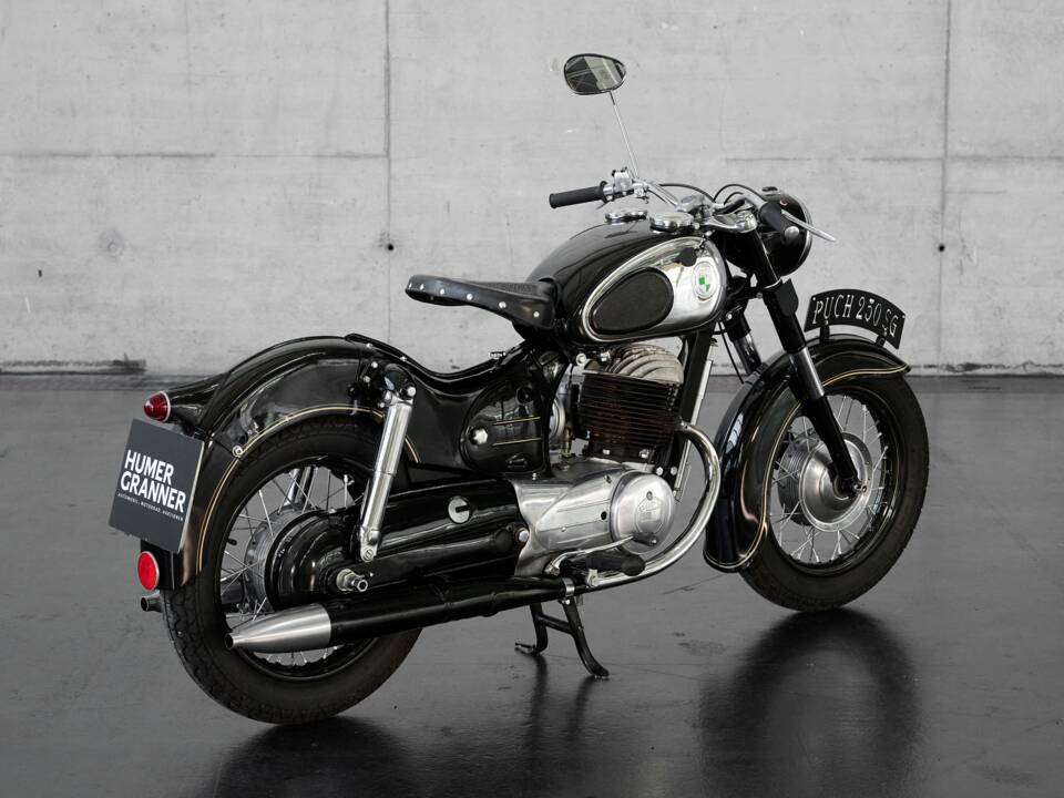 Image 10/20 of Puch 250 SG (1955)