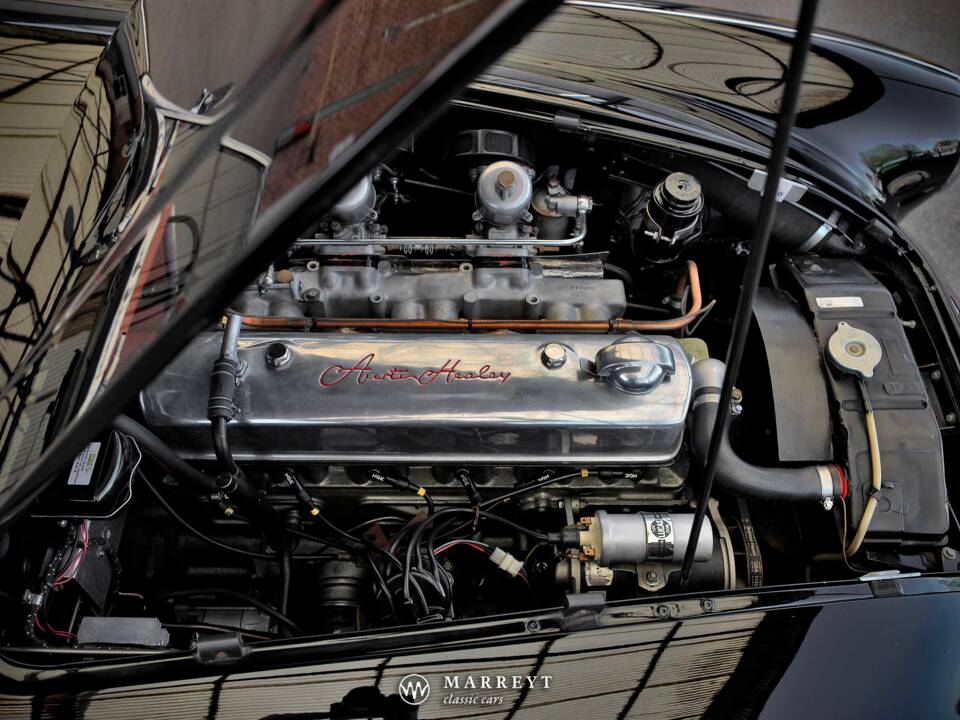 Immagine 21/68 di Austin-Healey 3000 Mk I (BT7) (1959)